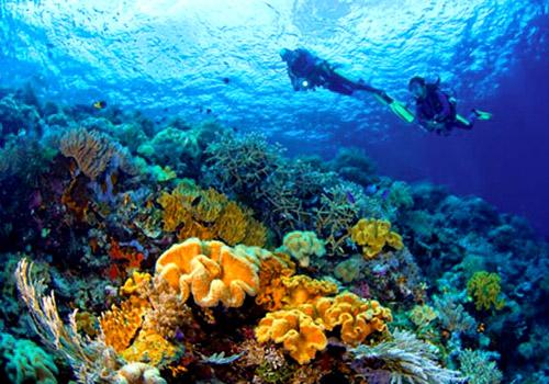 taman-nasional-wakatobi--surga-bawah-laut-yang-menakjubkan | Berita Positive 