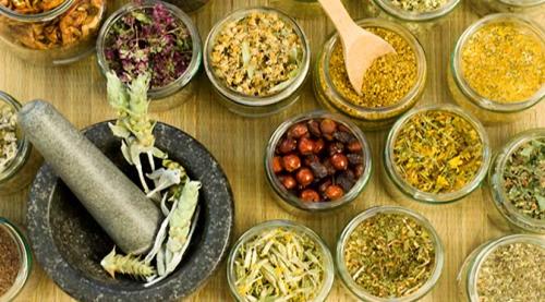obat-herbal-indonesia-berpeluang-besar-di-pasar-pakistan | Berita Positive 