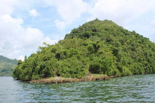 arkeolog-ungkap-kehidupan-lampau-di-gunung-srobu-papua | Berita Positive 