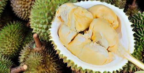 akhir-februari-ini-siapsiap-pesta-durian-di-jakarta | Berita Positive 